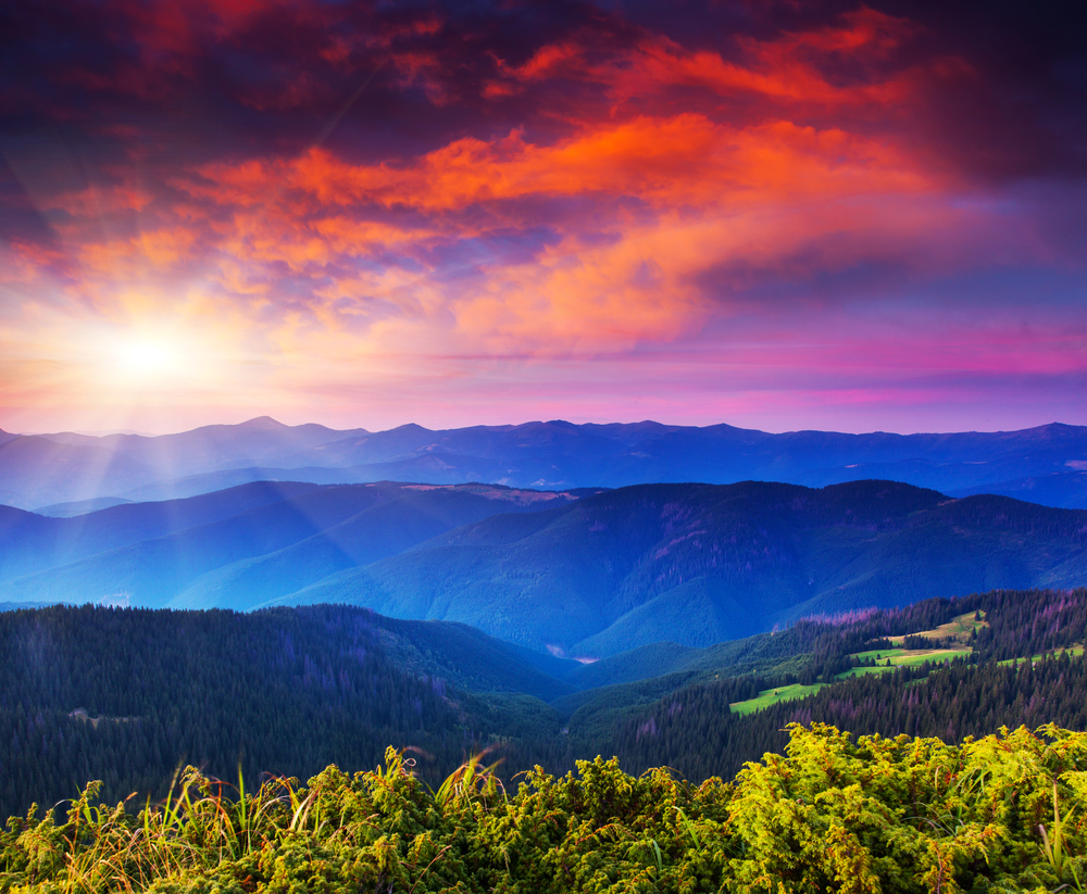 shutterstock_129821204 shutterstock_129821204