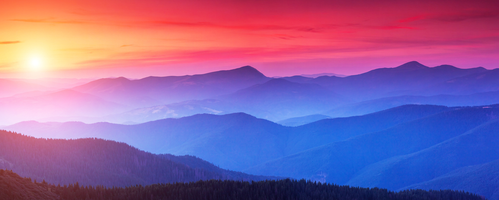 shutterstock_234300205 shutterstock_234300205