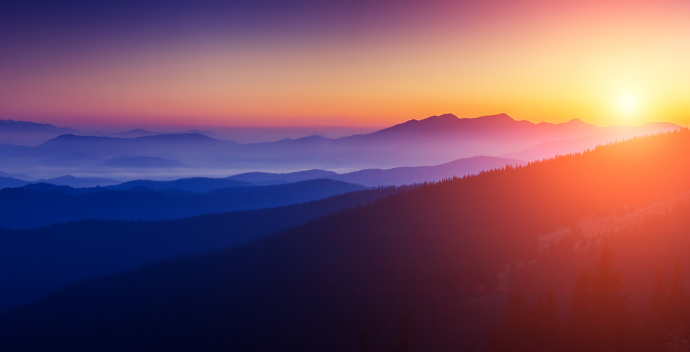 shutterstock_238447510 shutterstock_238447510