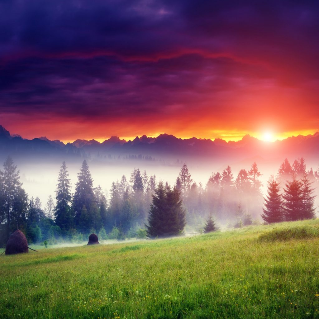 shutterstock_340451012 shutterstock_340451012